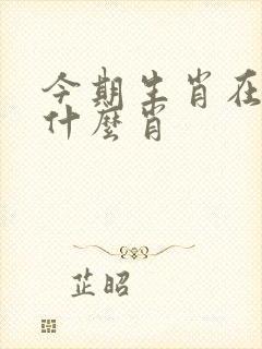 今期生肖在北边什么肖