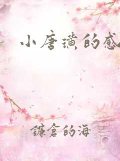 小唐璜的感情史