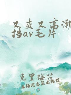 又爽又高潮无遮挡av毛片