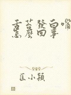 舌苔发白嘴巴苦怎么回事
