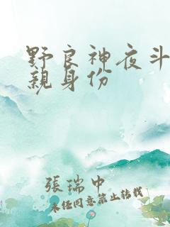 野良神夜斗的父亲身份