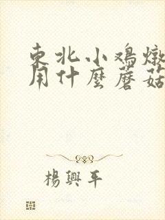 东北小鸡炖蘑菇用什么蘑菇
