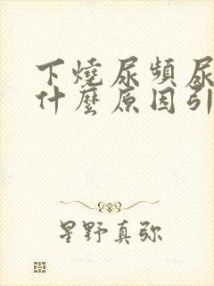 下烧尿频尿疼是什么原因引起的