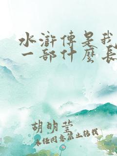 水浒传是我国第一部什么长篇白话小说