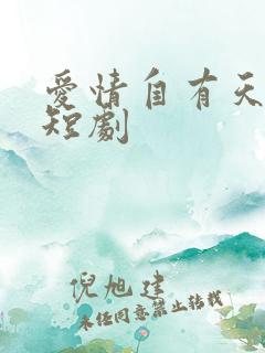 爱情自有天意 短剧