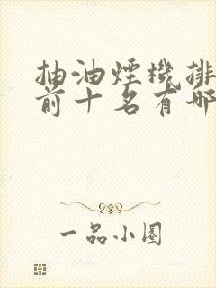 抽油烟机排行榜前十名有哪些品牌