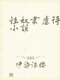 性奴隶虐待调教小说