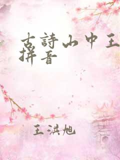 古诗山中王维带拼音