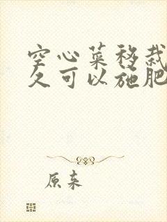 空心菜移栽后多久可以施肥