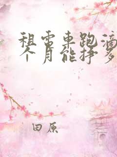 租电车跑滴滴一个月能挣多少钱