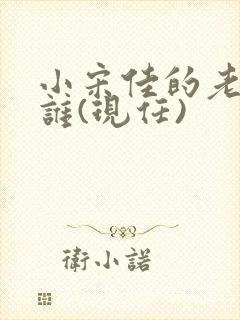 小宋佳的老公是谁(现任)