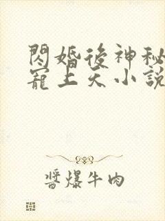 闪婚后神秘老公宠上天小说