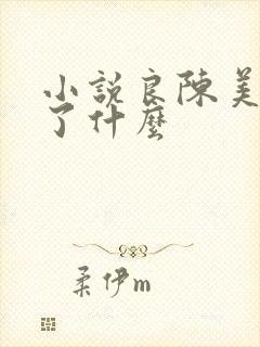 小说良陈美锦讲了什么