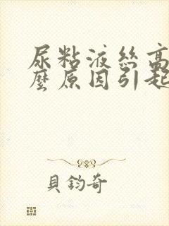 尿粘液丝高是什么原因引起的