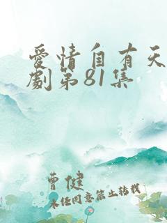 爱情自有天意短剧第81集