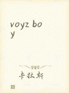 voyz boy