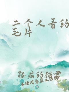 二个人看的视频毛片