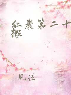 红岩第二十章梗概