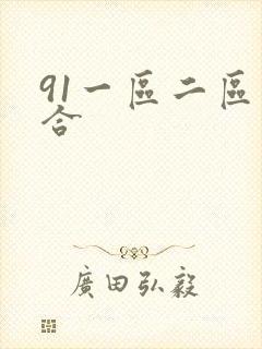 91一区二区综合