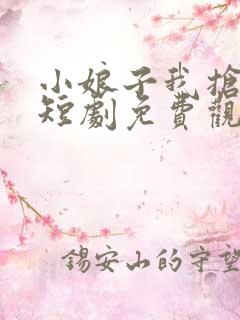 小娘子我抢定了短剧免费观看