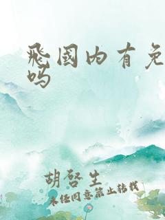 飞国内有免税店吗