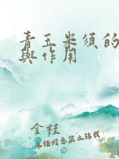 青玉米须的功效与作用 青玉米须的功效与作用