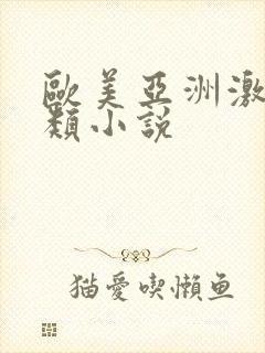 欧美亚洲激情另类小说