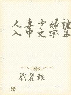 人妻少妇被猛进入中文字幕