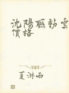沈阳联动云租车价格