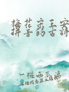梅花宋王安石带拼音的古诗