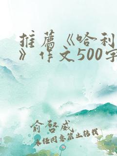 推荐《哈利波特》作文500字
