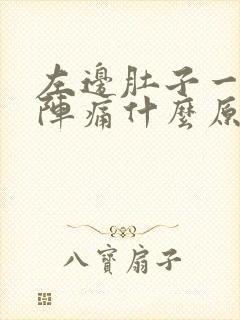左边肚子一阵一阵痛什么原因