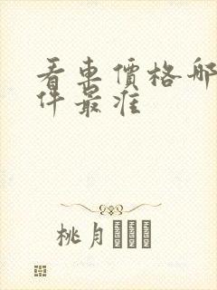 看车价格哪个软件最准