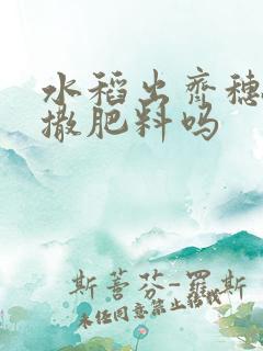 水稻出齐穗还能撒肥料吗