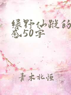 绿野仙踪的观后感50字