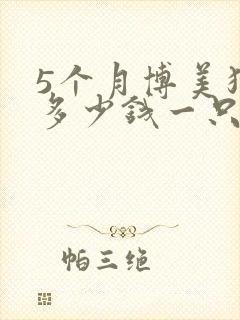 5个月博美狗狗多少钱一只