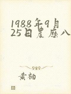 1988年9月25日农历八字