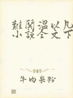 难哄温以凡桑延小说全文下载