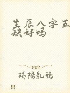 生辰八字五行不缺好吗