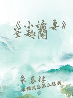 《小娇妻》云间笔趣阁