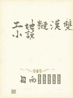 工地糙汉双男主小说