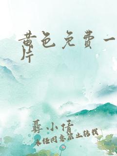 黄色免费一级大片