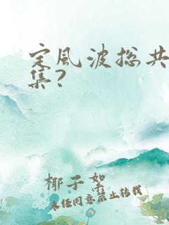 定风波总共多少集?