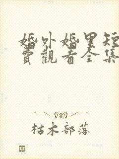 婚外婚里短剧免费观看全集完整