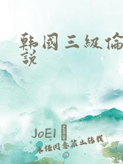 韩国三级伦理小说
