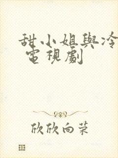 甜小姐与冷先生 电视剧