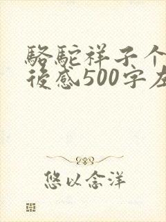 骆驼祥子个人读后感500字左右6篇