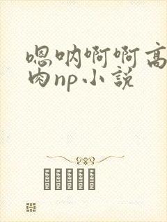 嗯呐啊啊高h纯肉np小说