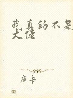 我真的不是反派大佬