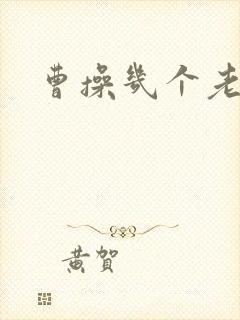 曹操几个老婆?